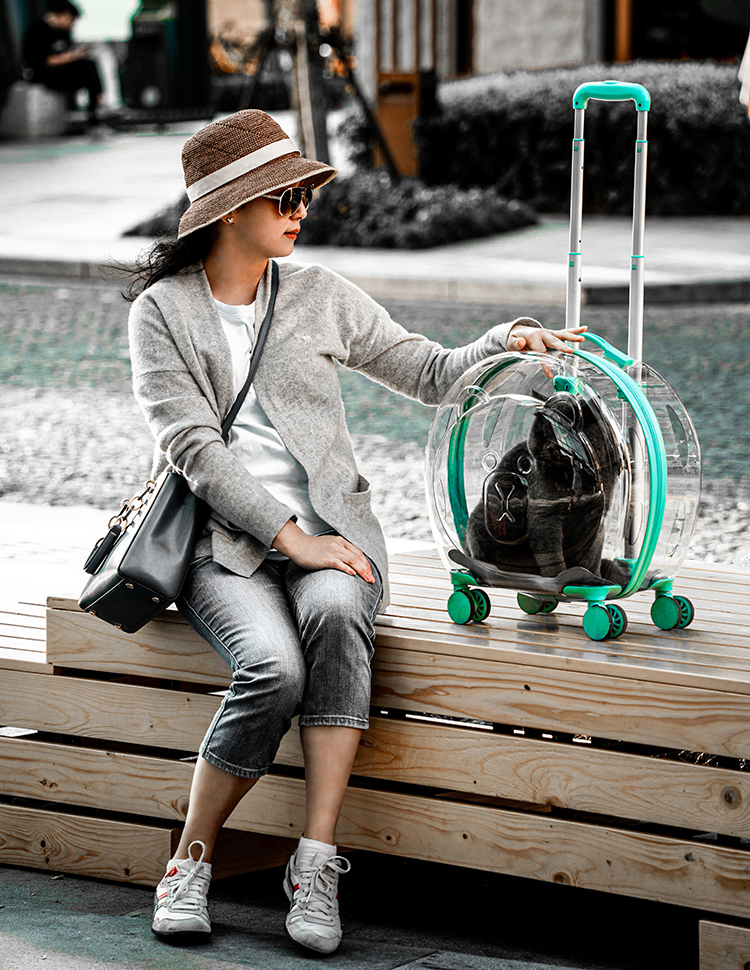 ROYO PET,Rolling pet carrier,Pet trolleycase,Pet carrier on wheels,Pet carrier luggage,Pet carrier hardcase,Rolling pet hardcase,Pet rolling luggage,Rolling pet luggage,Pet luggage cart,Pet carrier cart